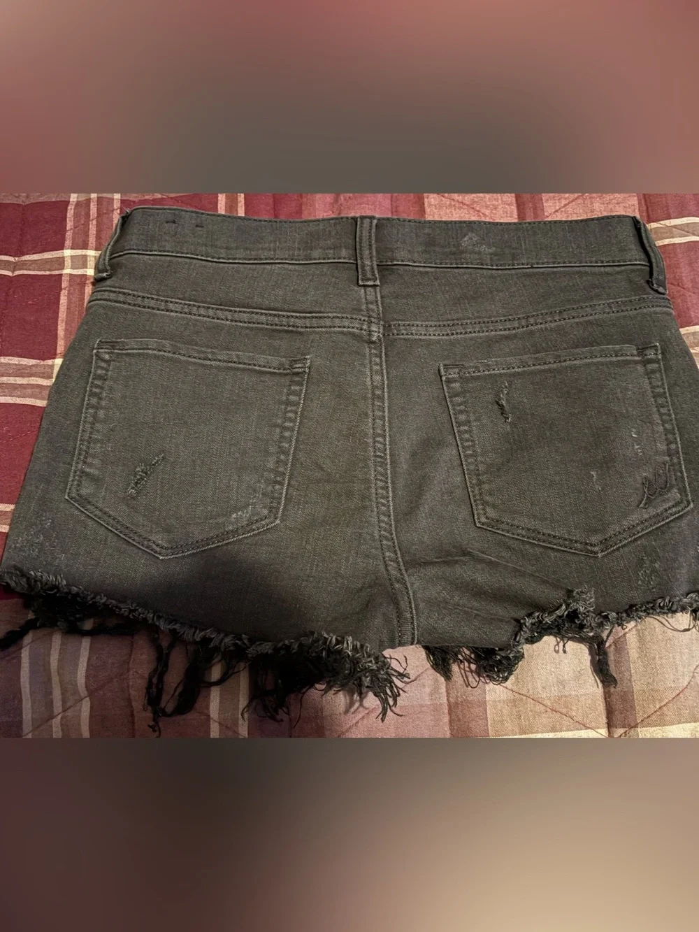 Express NWOT denim shorts